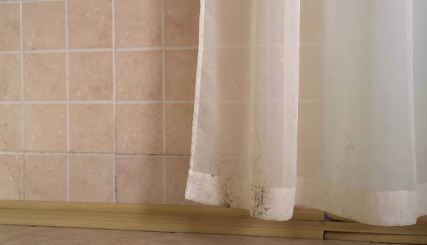 Best Indoor Air Quality Assessment  in Lake Hopatcong, NJ