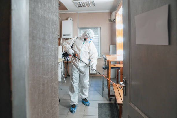 Best Mold Prevention Services  in Lake Hopatcong, NJ