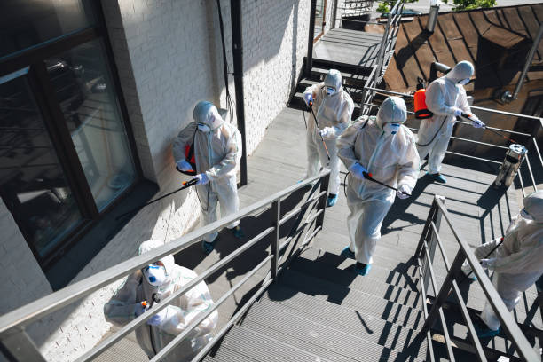 Best Real Estate Mold Inspection  in Lake Hopatcong, NJ