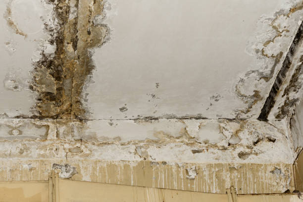 Best Asbestos and Lead Testing During Mold Inspection  in Lake Hopatcong, NJ