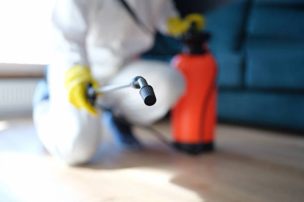  Lake Hopatcong, NJ Mold Removal Pros