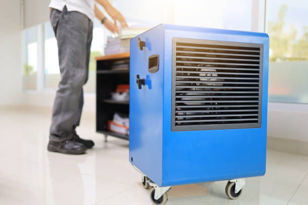 Best Dehumidification Services  in Lake Hopatcong, NJ