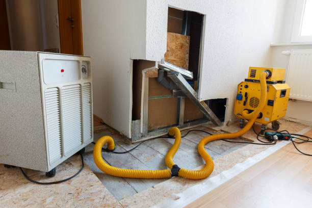 Mold Removal for HVAC Installations in Lake Hopatcong, NJ
