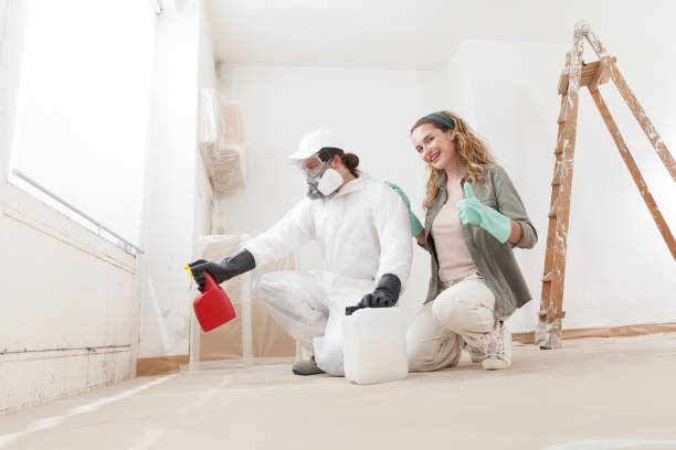 Professional Mold Removal in Lake Hopatcong, NJ