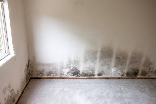 Best Mold Remediation for Healthcare Facilities  in Lake Hopatcong, NJ