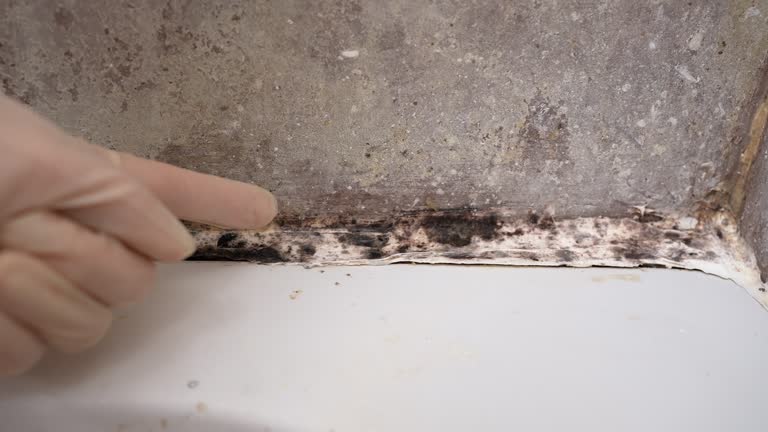 Best Water Damage & Mold Remediation  in Lake Hopatcong, NJ